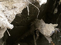 Фото4